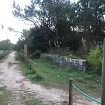 Cozy Com Jardim * Árvore