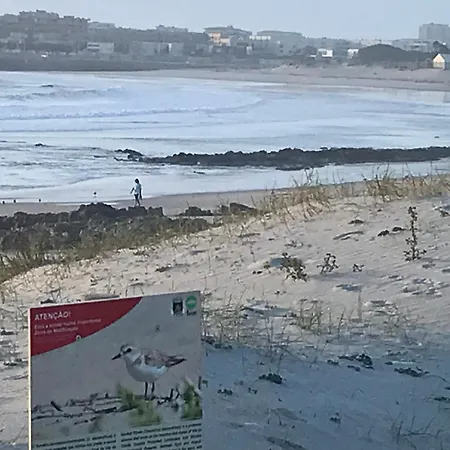 Cozy Com Jardim * Árvore