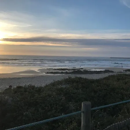 Cozy Com Jardim * Arvore