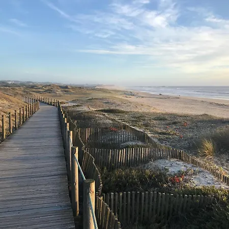 Cozy Com Jardim * Árvore