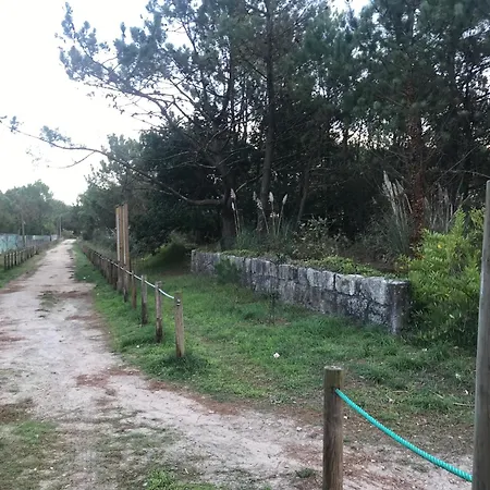 Cozy Com Jardim * Árvore