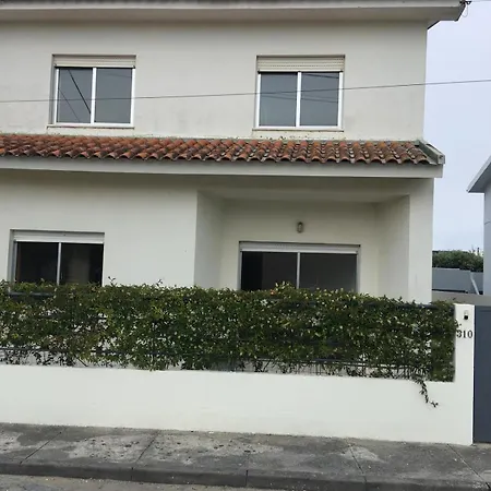 Cozy Com Jardim Árvore