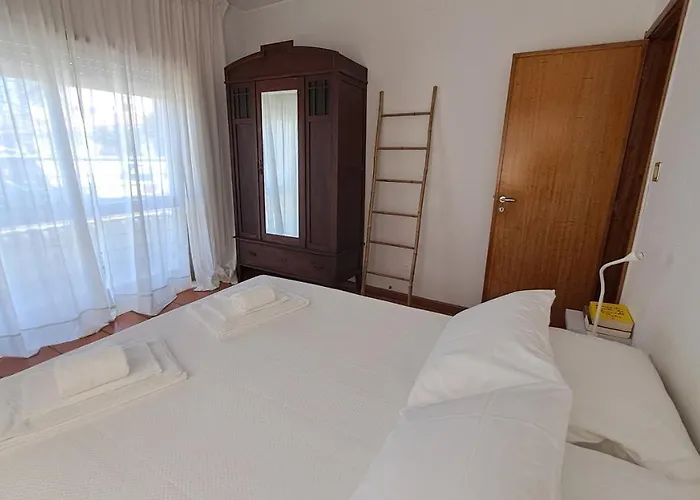 Cozy Com Jardim 펜션 Árvore