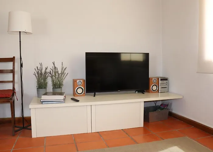 Cozy Com Jardim 펜션 Árvore