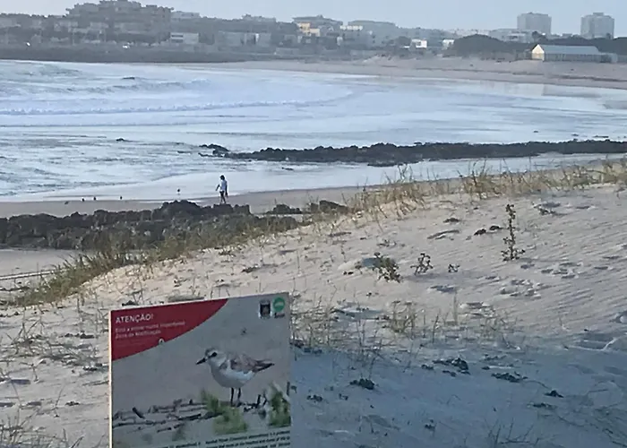 Cozy Com Jardim * Árvore