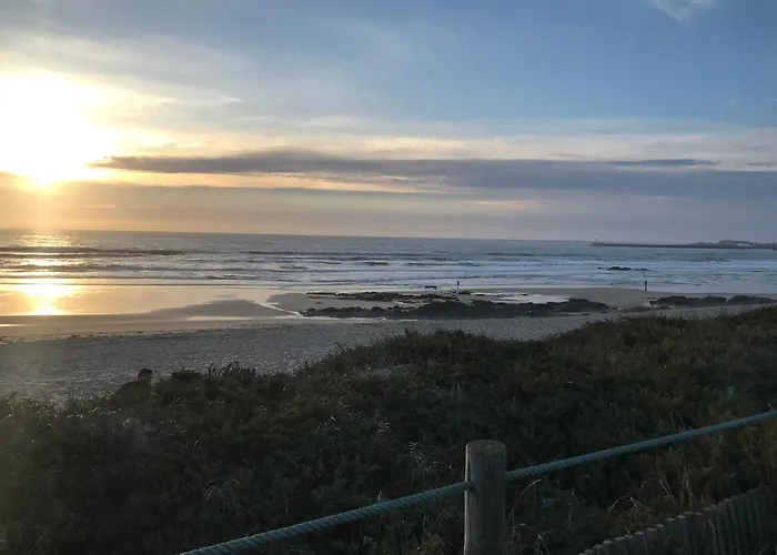 Cozy Com Jardim * Árvore