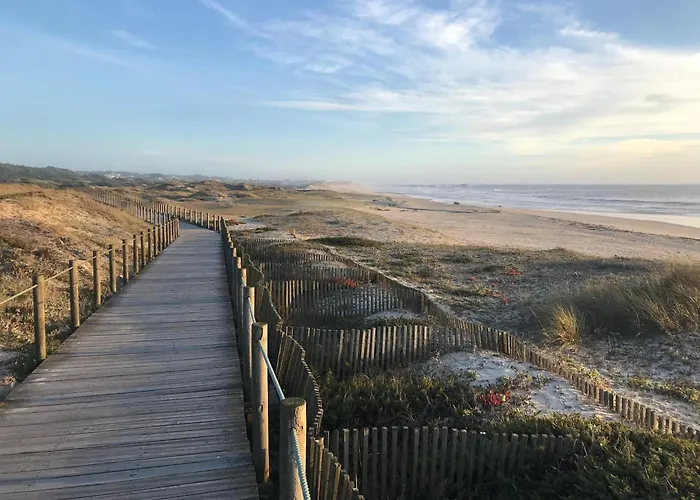 Cozy Com Jardim * Árvore