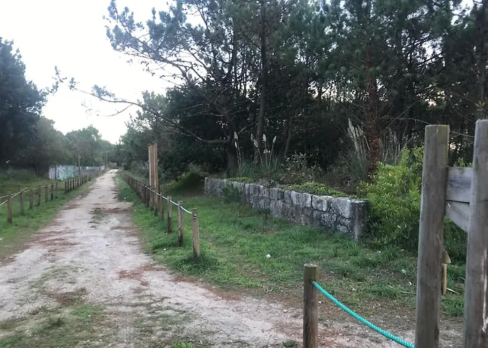 Cozy Com Jardim * Árvore