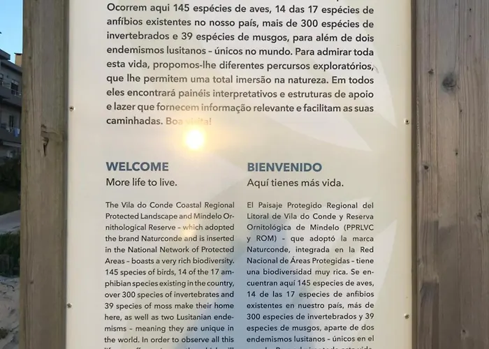 Cozy Com Jardim Hébergement de vacances Árvore