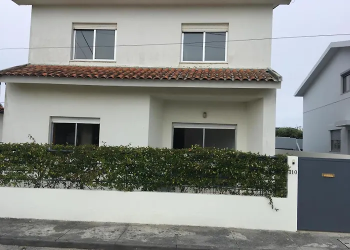 Cozy Com Jardim Árvore